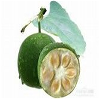 桂林罗汉果