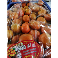 广西沙糖橘