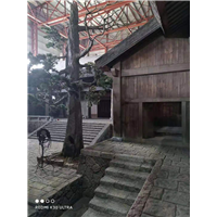 宁波甲醛检测宁波甲醛治理 