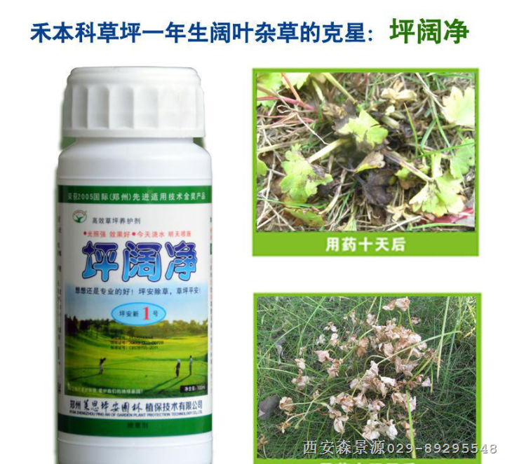 坪阔净 