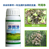 坪阔净 