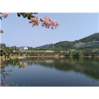 长沙墓地 