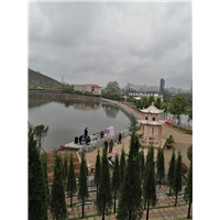 长沙陵园墓地哪里有 