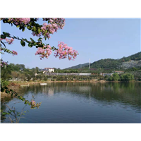 长沙陵园墓地安葬 