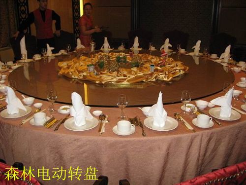 森林电动转盘拍