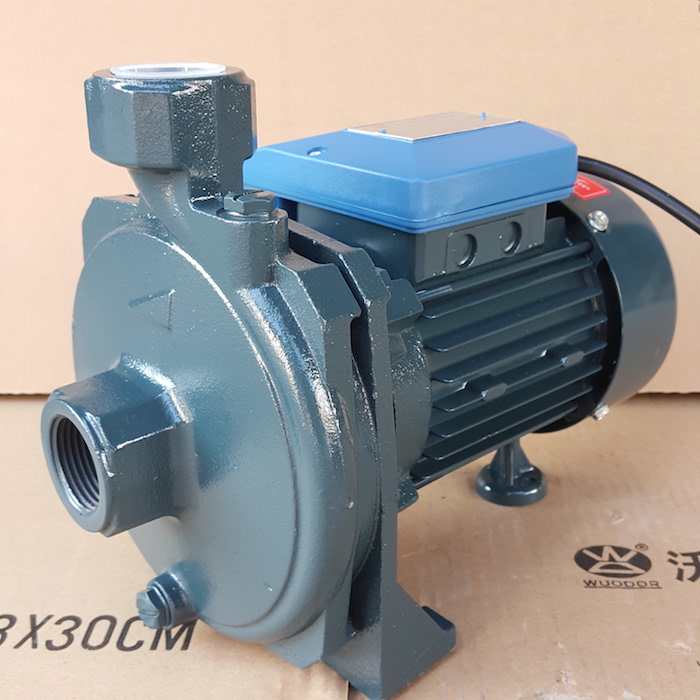 220v冷水机泵现货 