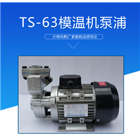 木川ts-63模温机泵浦 