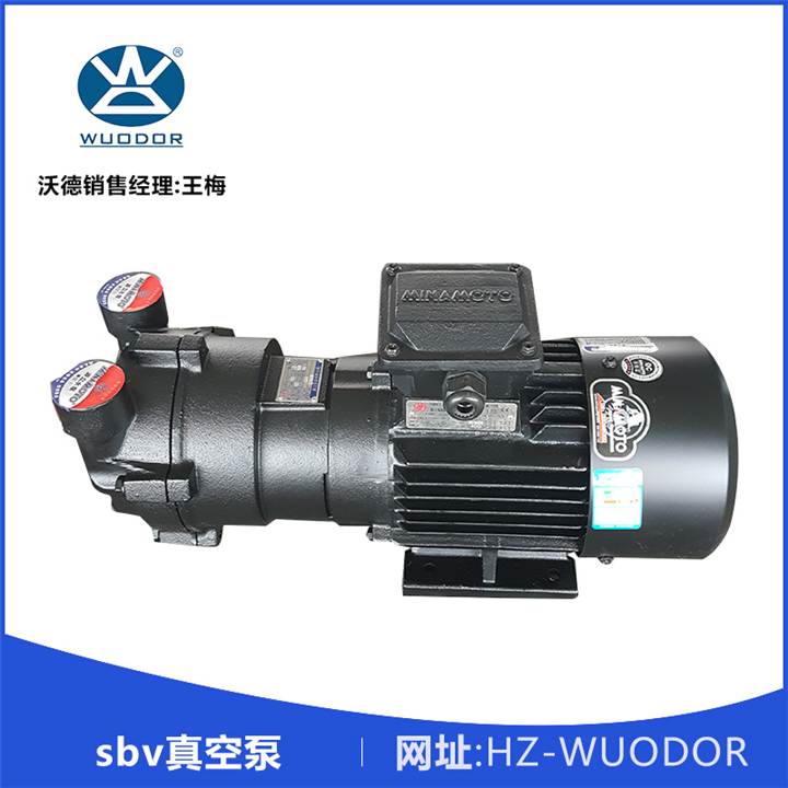 源立sbv-80水环真空泵 