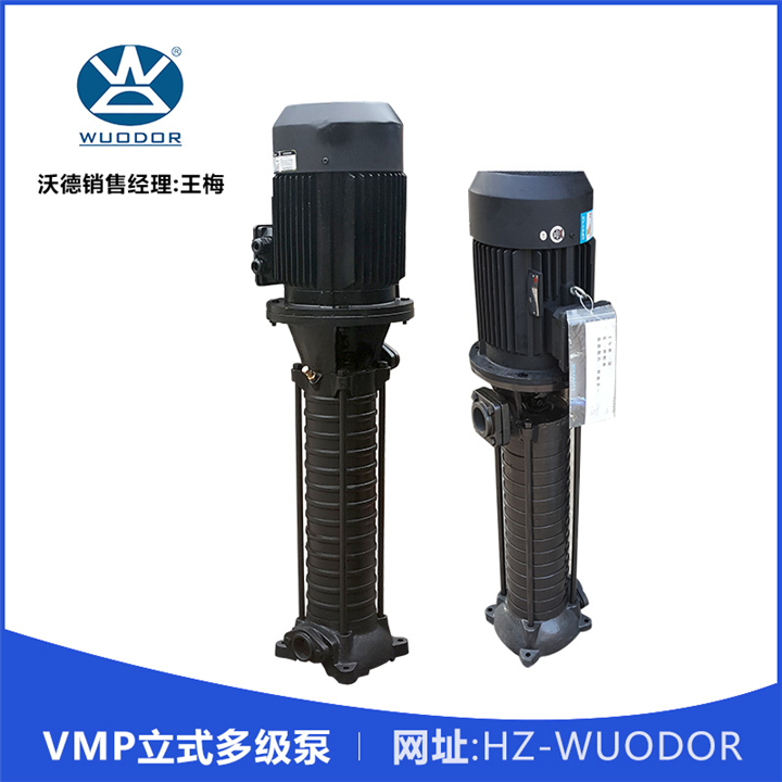 沃德vmp50-14立式多级泵 