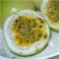黄金百香果苗