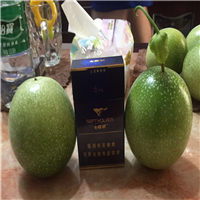 百香果苗