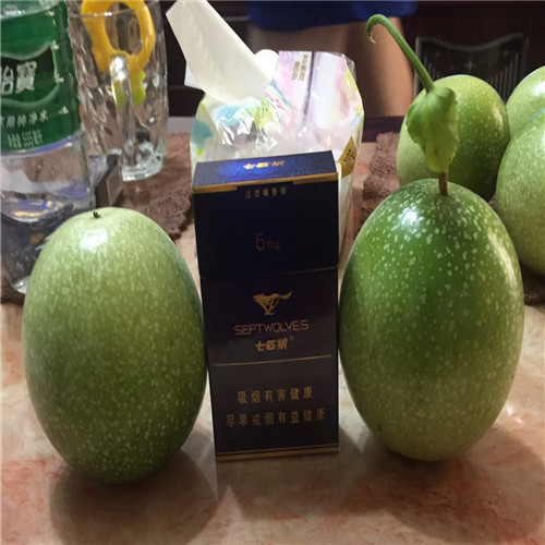 百香果苗