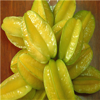 杨桃苗 