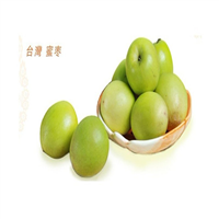 台湾青枣苗 