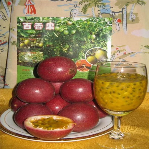 百香果苗