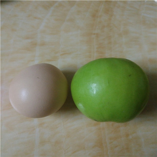 台湾蜜思枣苗