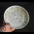 鱼苗|广西福缘 