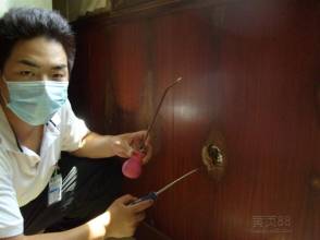 广州灭白蚁公司#广州灭白蚁电话 