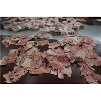 白蚁应及时消灭，以免造成损失 