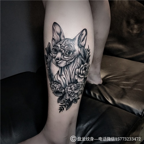湘潭正规专业纹身店|**猫纹身作品 
