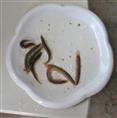 湖南泥鳅苗｜泥鳅苗价格｜湖南鱼苗养殖 