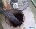 烟台福山区通下水道 疏通马桶 下水道维修 