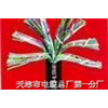 国标通信RS-485电缆 