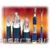 -计算机专用电缆djyvp djypvp- 