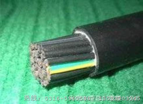 综合电缆 SYV75-5+RV 