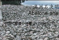供应石决明1-大量供应石决明&批发石决明 