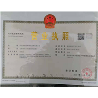 陕西华山松 