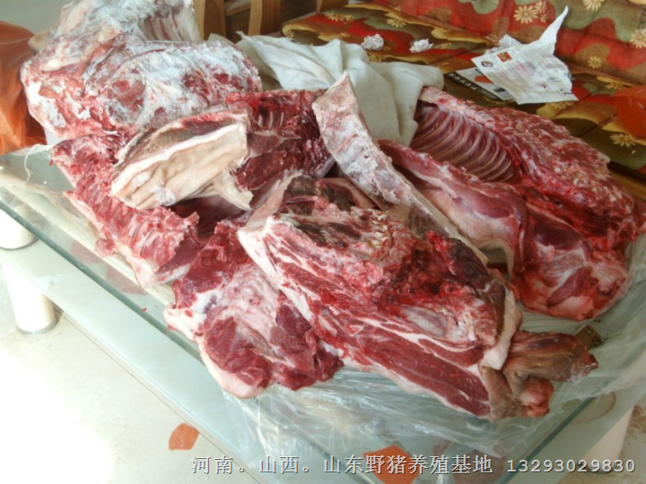 野猪肉营养高 野猪肉批发 野猪肉零售 