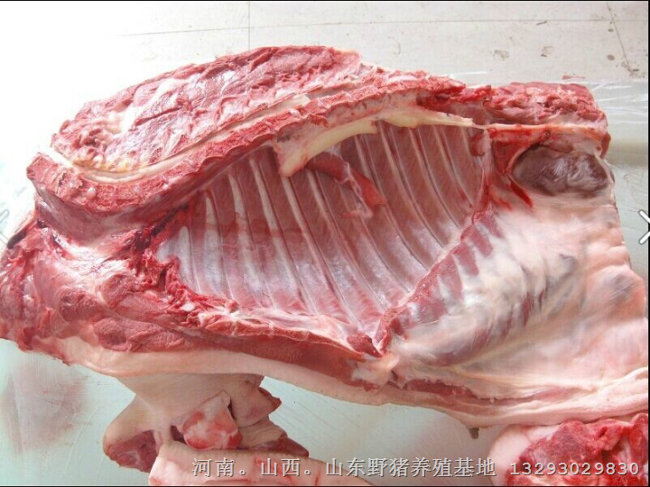 2014野猪肉批发  特种野猪肉 生态野猪肉价格 