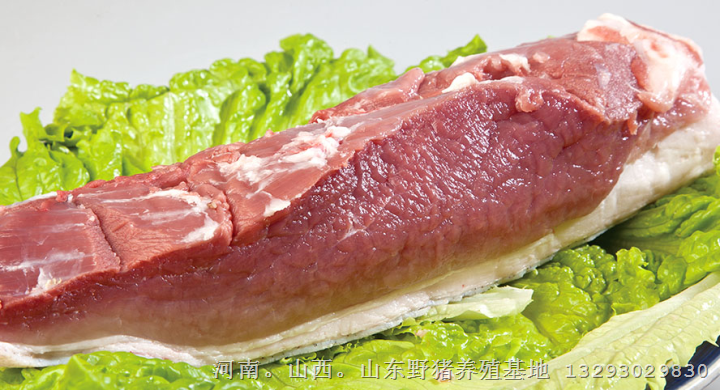 河北野猪肉！河南野猪肉！北京野猪肉价格 