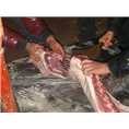 资阳野猪养殖 宜宾特种野猪肉 南充野猪养殖基地 