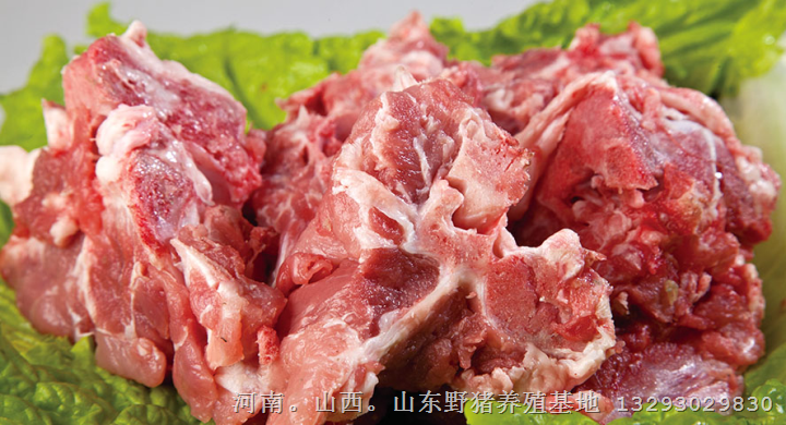 南开野猪养殖 河东野猪肉价格 河北生态野猪肉批发 