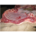 野猪肉！野猪肉价格！野猪肉批发 