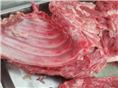河南开封焦作野猪养殖-鹤壁野猪肉-濮阳野猪肉价格 