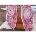 保定野猪肉 邢台野猪肉 衡水特种野猪肉价格 