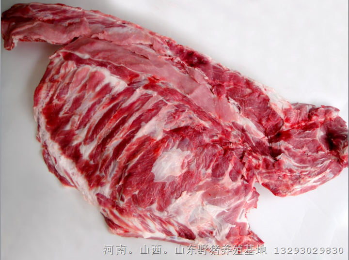 北京野猪养殖 内蒙野猪肉价格天津野猪肉 