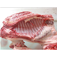 邯郸野猪养殖合作社面向磁县永年馆陶各地区出售野猪肉 