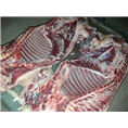 特种野猪肉销售到郑州新乡濮阳安阳各地区的酒店宾馆 