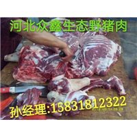 野猪肉 