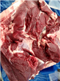 枣庄野猪养殖场-东营野猪肉-烟台特种野猪肉价格 