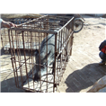 河南特种野猪 河南野猪养殖场 纯种野猪养殖基地 