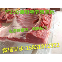 野猪行情  2017**野猪肉价格 