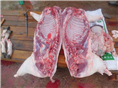 河南野猪肉-特种野猪肉-生态野猪肉火热**中 