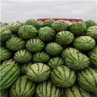 保定农产品批发市场