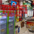 晋江超市冰箱回收 
