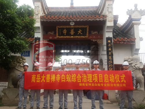永州灭鼠公司